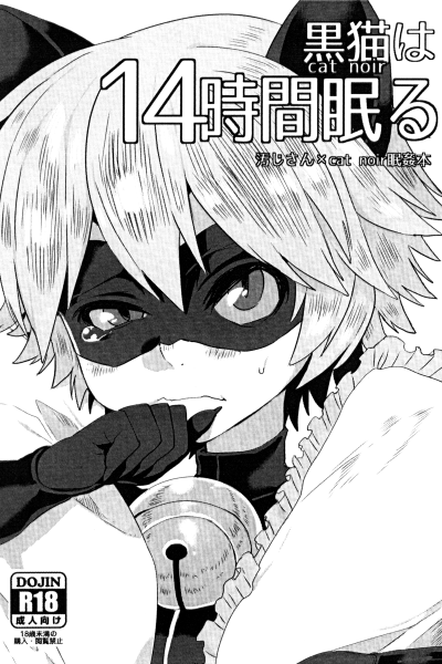 Cat Noir page 1