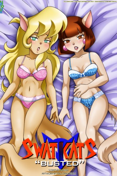 Swat Kats Busted - Porn Comics page 1