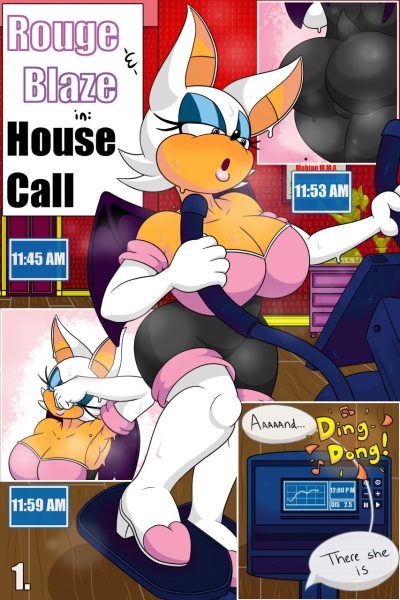 Rouge And Blaze In: House Call - Porn Comics page 1