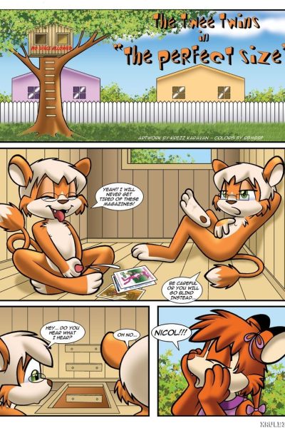The Pefect Size - Porn Comics page 1