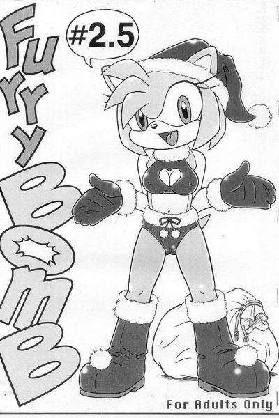 Furry Bomb 2,5 page 1