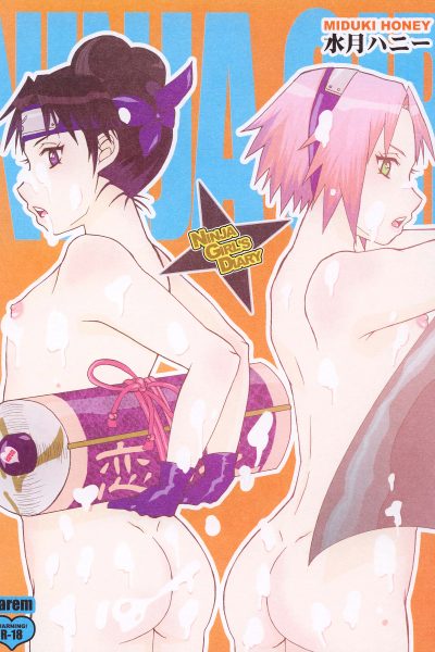 Ninja Girl's Diary page 1