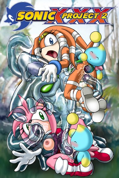 Sonic Xxx Project 2 - Porn Comics page 1