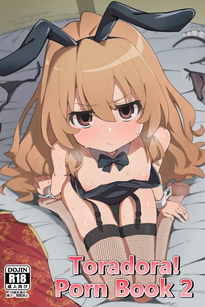 Toradora! Porn Book 2 page 1