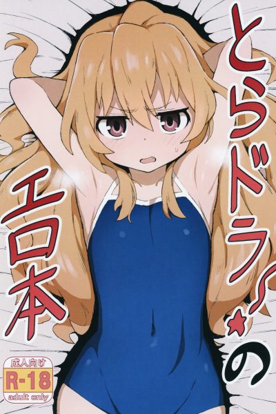 Toradora! Porn Book page 1