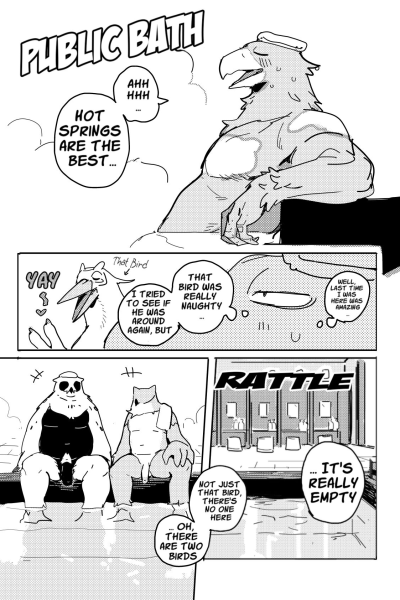 White-tailed Eagle And Owls page 1