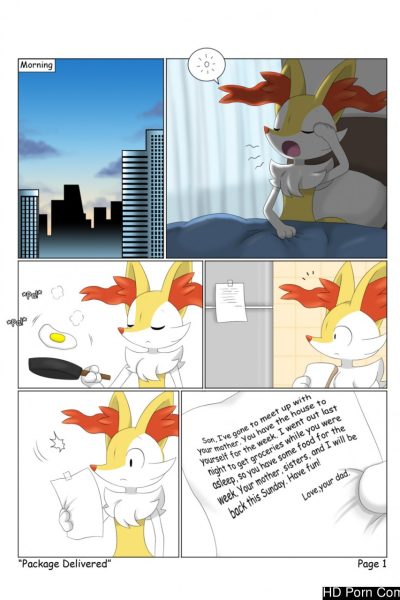 Package Delivered Comic Porn page 1