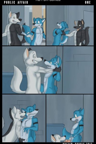 Public Affair Comic Porn page 1