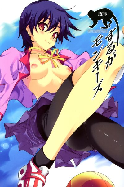 Suruga Monkeys page 1